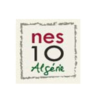 nes10